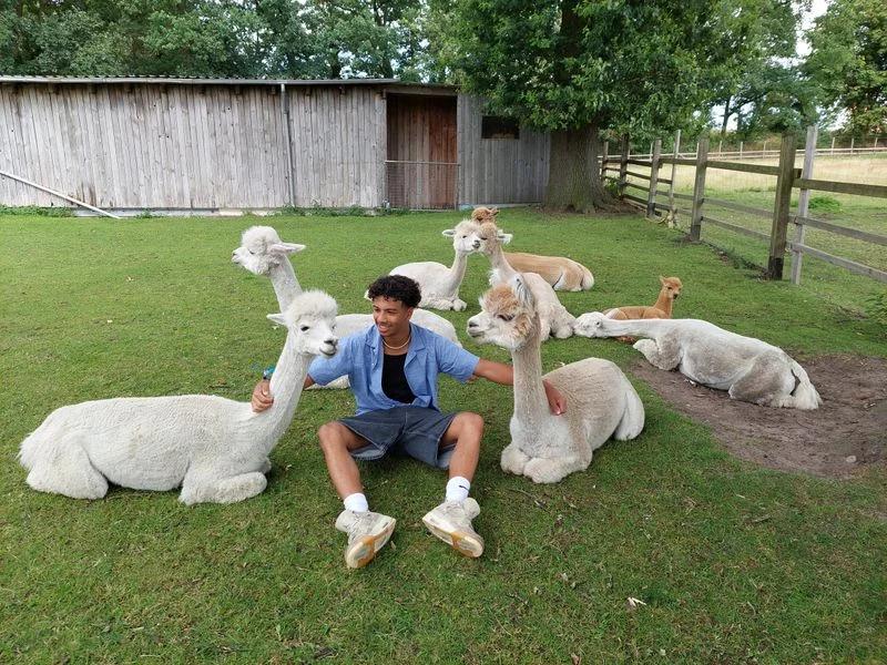 Alpaka Schnupperstunde - Vorschaubild 1