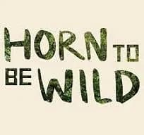 Horn To Be Wild Festival 